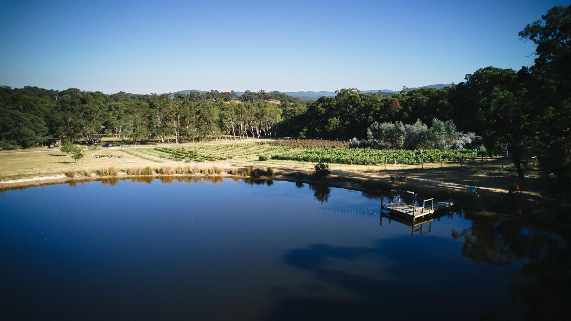 Yarradene Luxury Healesville Farmstay Εξωτερικό φωτογραφία